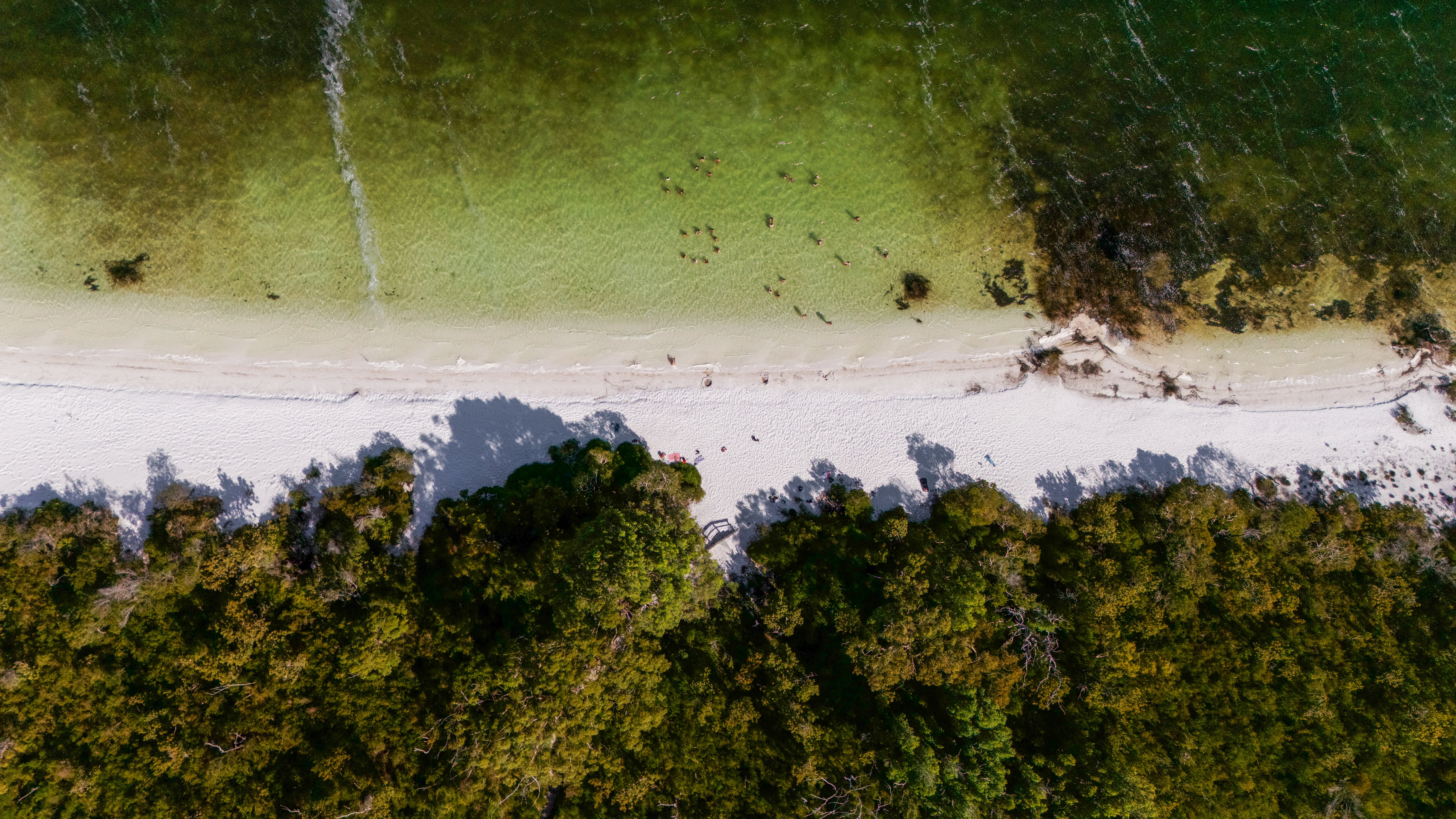 Best Place to Stay on Fraser Island: Responsible Accommodation Options