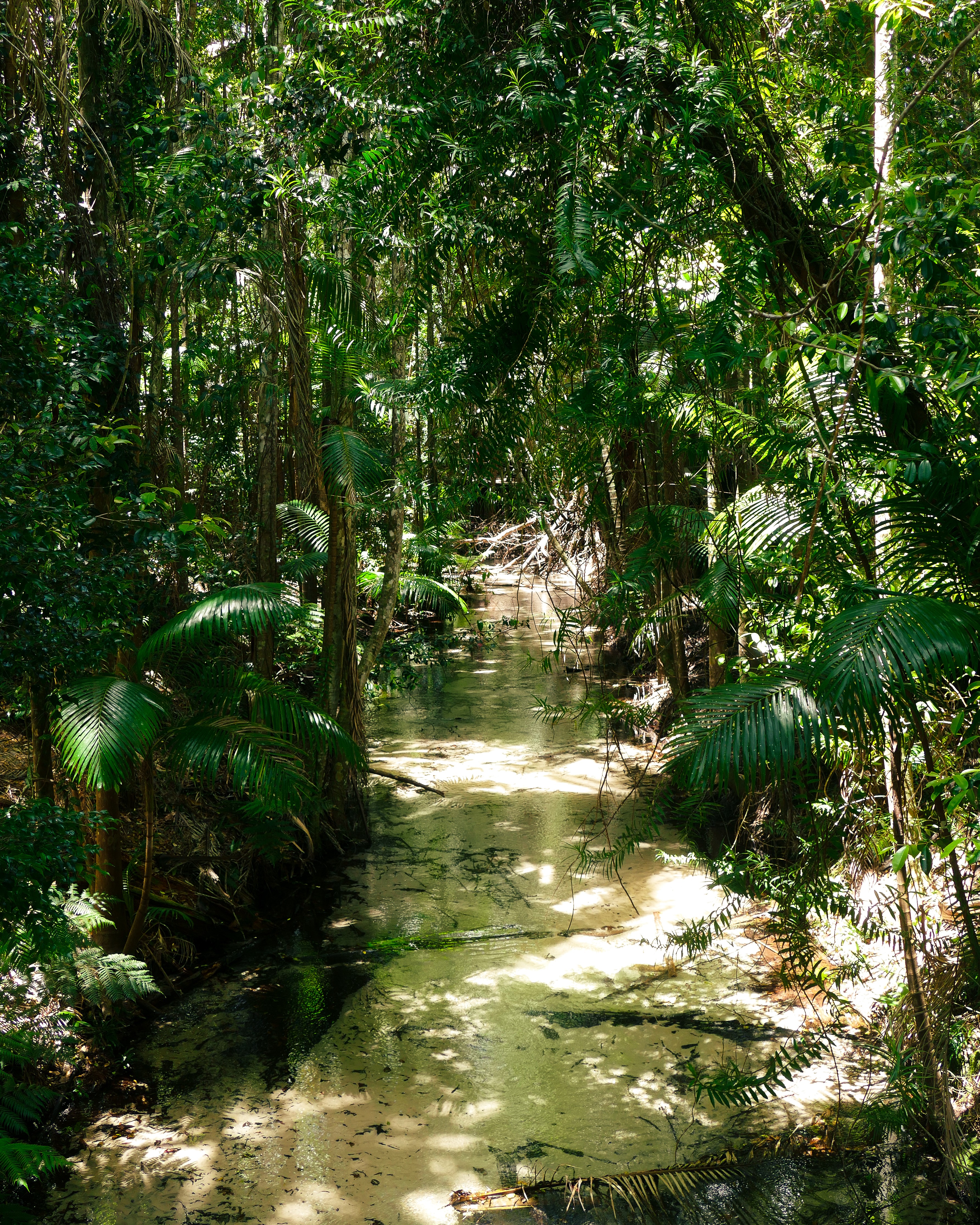 K’gari Fraser Island Attractions: A Self-Drive Itinerary and Map